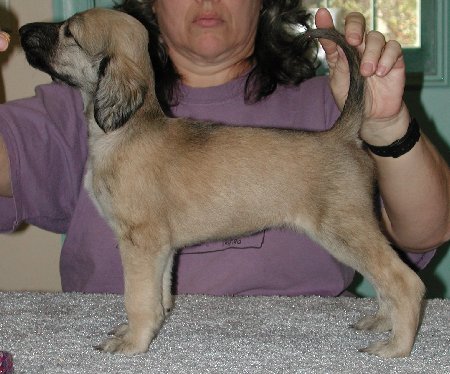 BlkMsk SilverGirl5wks.jpg - 45.77 K